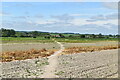 Footpath across field