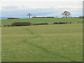 Farmland east of Forest