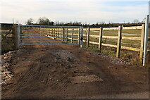SP4900 : New track in Sunningwell by David Howard