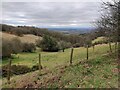 Valley on the southern edge of Walton Hill