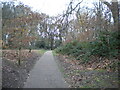 Footpath into Warley Woods, Bearwood