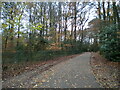 Footpath through Warley Woods