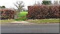 Gateway to fields on east side of Longtown Road