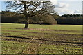 Footpath across field