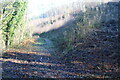 ST3791 : Forestry track near Woodward's Farm by M J Roscoe