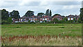 Radford meadows south-east of Stafford