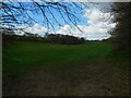 Spring Fields, Warners End