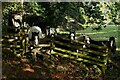 SJ2637 : A Stile with Ponies on Offa's Dyke by Jeff Buck