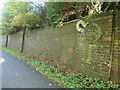 Magnetism on a former railway wall, Layerthorpe