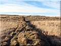 Clawdd pridd ar rostir / Earthen bank on moorland