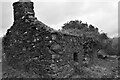 W2878 : Ruined cottage, Cabragh by Donald MacDonald