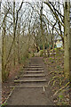 Steps on a path near the flood control dam on Grimescar Dike, Huddersfield