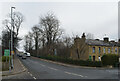 Birkby Hall Road  entering Norman Park, Huddersfield