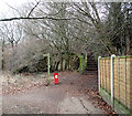 Steps from Tennyson Avenue to The Nidderdale Greenway, Harrogate