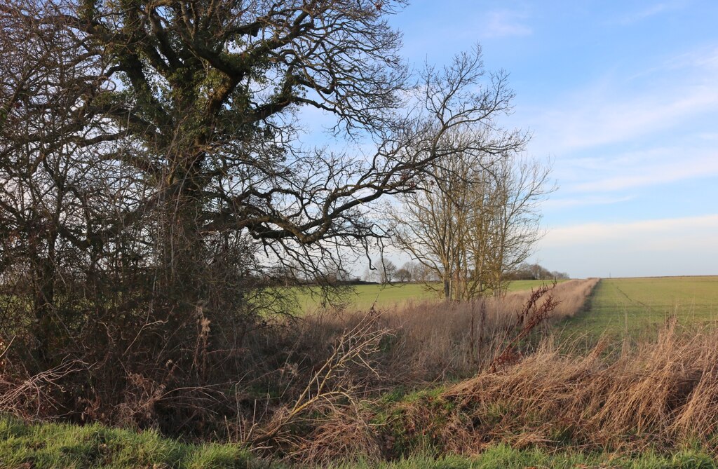 Field In Netherton © David Howard :: Geograph Britain And Ireland