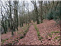 Llwybr ceffyl Allt Dinbeth / Allt Dinbeth bridleway