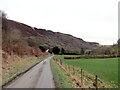 Heol i Gilycwm / Road to Cilycwm