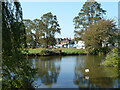 Pond on Shalford Common