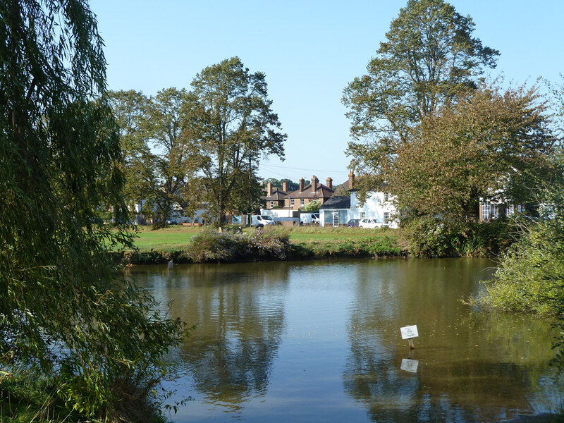 Pond on Shalford Common © Robin ster Geograph Britain and Ireland