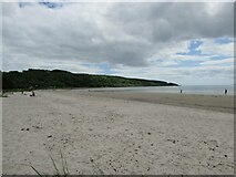 NR9666 : Forest next to Kilbride Bay by Pebble