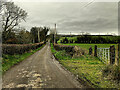 Cappagh Road, Mountjoy Forest East Division