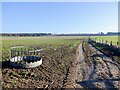 Track and ring feeder, Easter Fodderlee