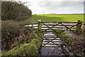 Field next to Carletonmoor Woods