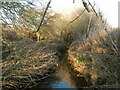 TL6308 : Roxwell Brook by Paul Franks