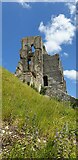 SY9582 : Corfe Castle by Oscar Taylor