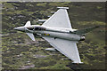 NT4229 : A low flying RAF Typhoon in the Yarrow Valley by Walter Baxter
