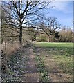 Path to Lower Severn Hall