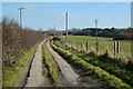 Farm-road and pasture, St Newlyn East