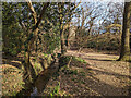 Stream along boundary of Haywards Heath Cemetery land