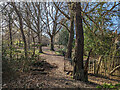 Haywards Heath Cemetery - Perimeter Nature Walk