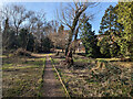 Haywards Heath Cemetery - Perimeter Nature Walk