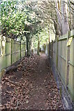 TQ6220 : Fenced footpath by N Chadwick