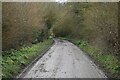 Lane towards Crickham