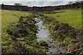 Stream in the valley