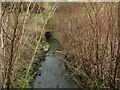 Start of Mill Beck culvert