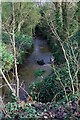 Stream flows beneath road 2