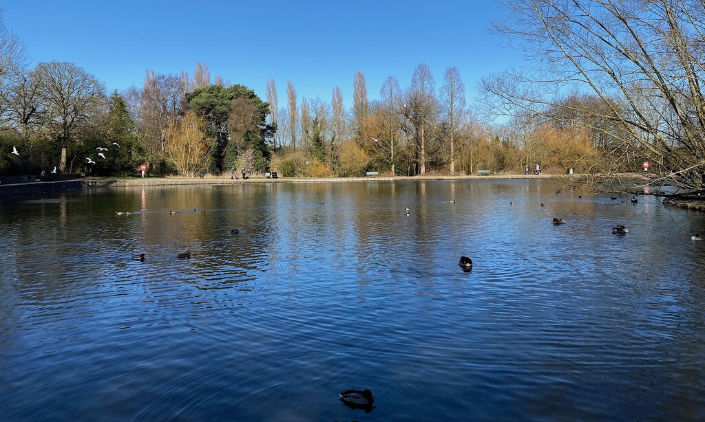 Pond, Pype Hayes Park, Birmingham © Robin Stott :: Geograph Britain and ...