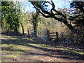 Llwybr i Lanarthginning / Path to Llanarthginning