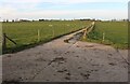 Track to Kingston Hall Farm, Kingston Bagpuize