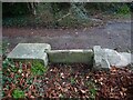 Stone Stile, Hewelsfield