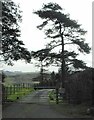 Gate to Pattiston Farm