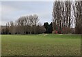 Playing fields at Knighton Park