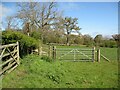 Field corner near Warnell Hall