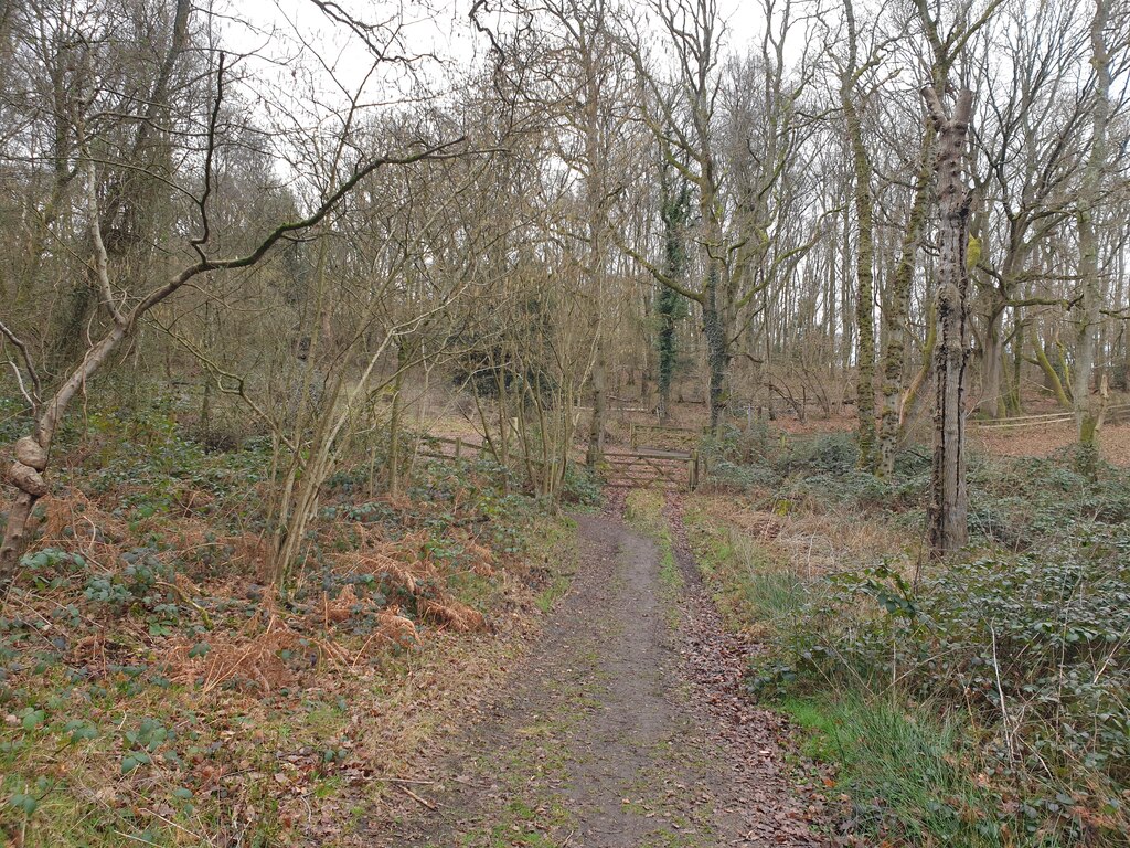 Small Car Park At Bowdown Woods © Oscar Taylor :: Geograph Britain And 