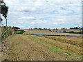 Fields south of Edwin