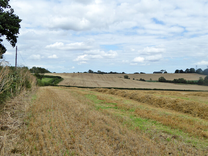 Fields south of Edwin's Hall Road © Robin Webster :: Geograph Britain ...